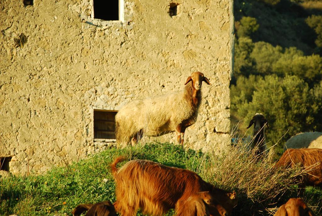 Hotel Experience Il Paesino Licodia Eubea Exteriér fotografie